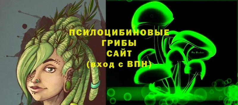 Псилоцибиновые грибы MAGIC MUSHROOMS  цена наркотик  Уфа 